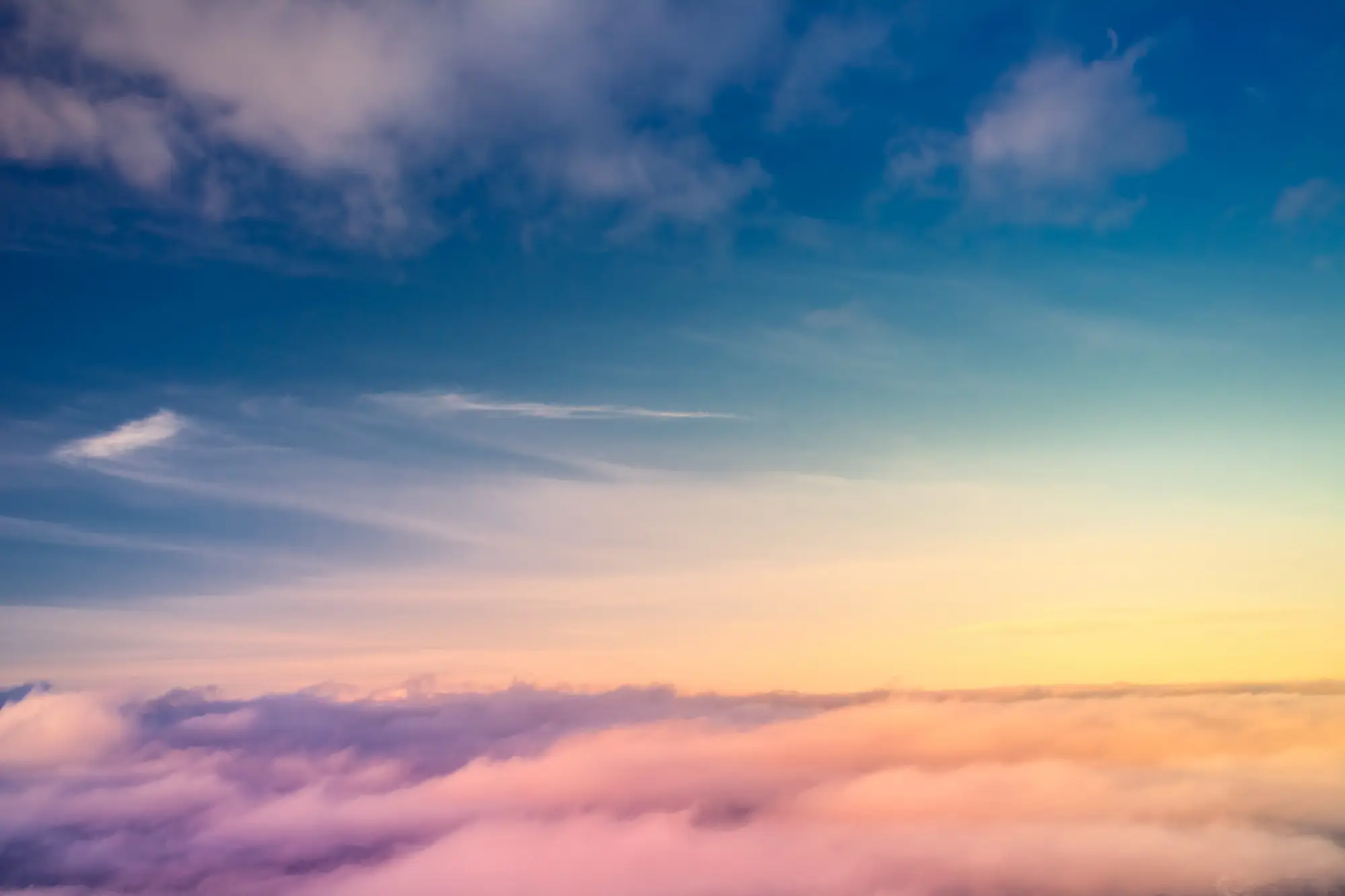 Heimgang Dr. Herbert Ros