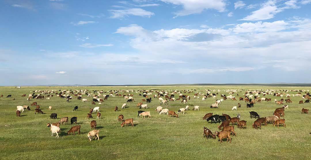 Die Weiten der mongolischen Steppe