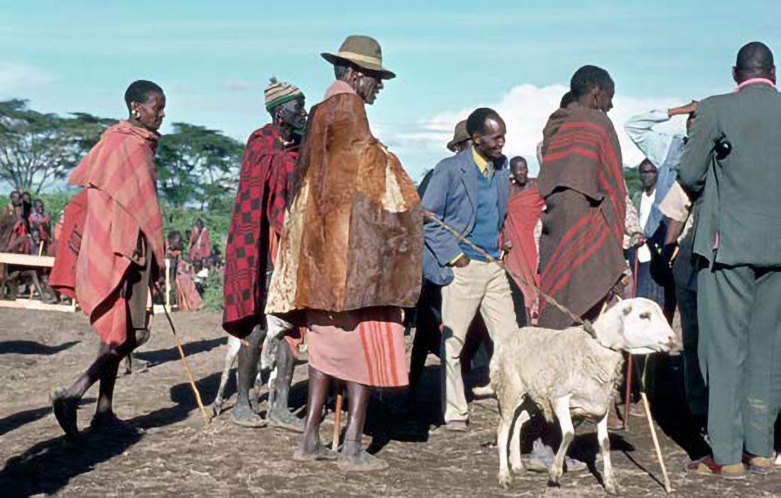 Maasai bringen Spenden für die Schule in Maji Moto