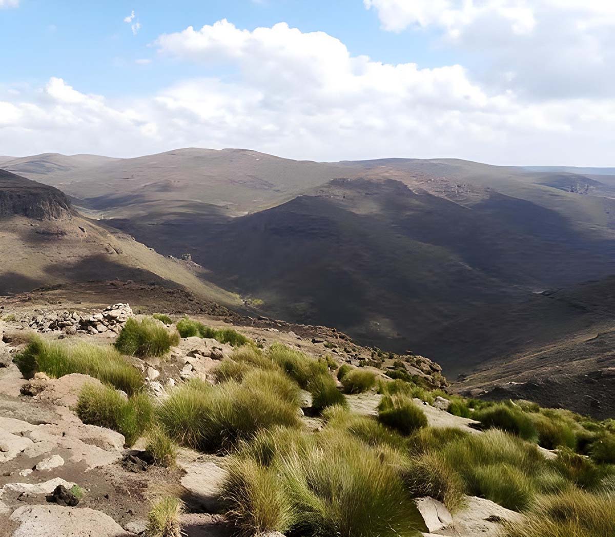 Foto einer Graslandschaft in Lesotho